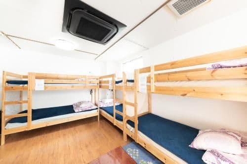 Single Bed in Male Dormitory Room