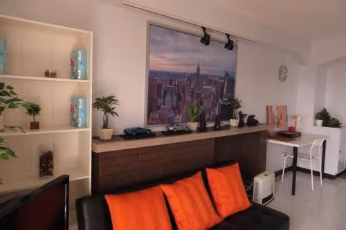 Superior Apartment