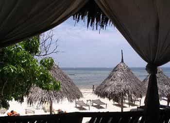Flamingo Villa's Club