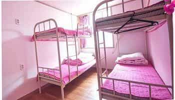 Miss Egg Hostel Miss Egg Hostel