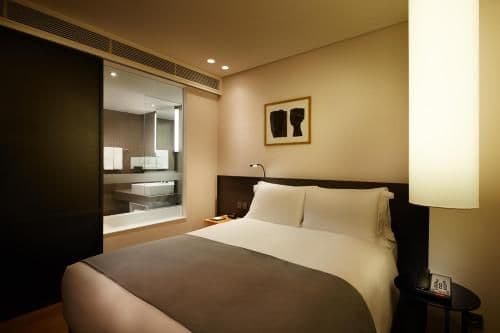 Standard Double Room (ECO Plan- Room Cleaning Excluded)