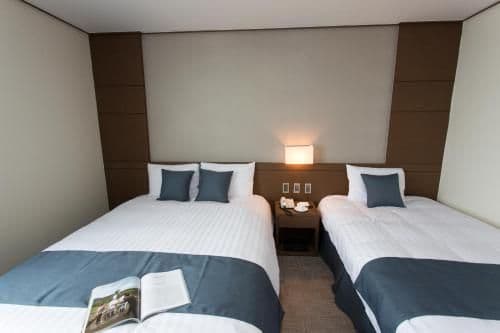 Standard Twin Room with Mountain View