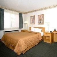 Comfort Inn4