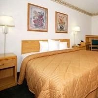 Comfort Inn3