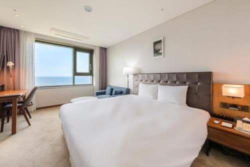 Club Lounge Ocean View