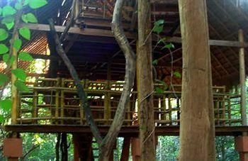 Ella Jungle Resort4