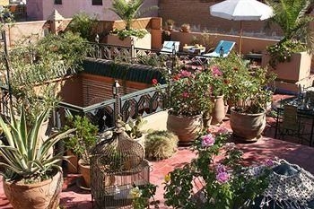 Riad Zarka2