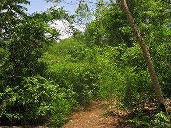 Yucatan Mayan Retreat, Ecohotel & Camping0