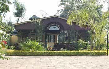 Hotel Rainforest Hotel Rainforest