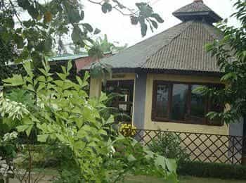 Hotel Rainforest Hotel Rainforest