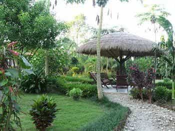 Sauraha Resort Sauraha Resort