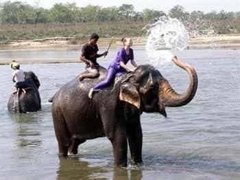 Chitwan Forest Resort Chitwan Forest Resort