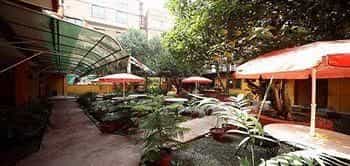 The Buddha Garden Hotel The Buddha Garden Hotel