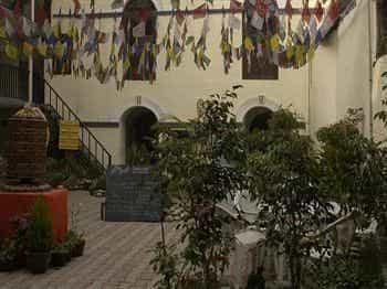 Hotel Himalaya Yoga Hotel Himalaya Yoga