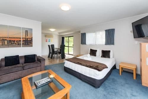 Large Family Apartment