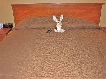 Rabbit Ears Motel3