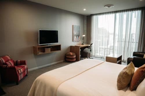 Premium Suite