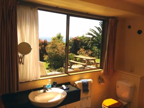 King or Twin Room with Ocean View