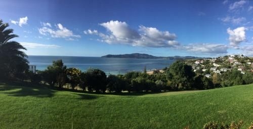 Carneval Ocean View1