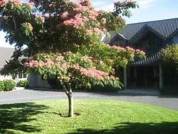 Heron Hill