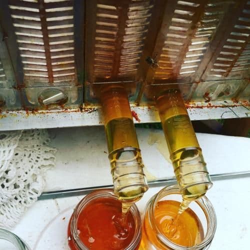 Picton View Suite
