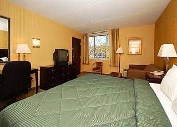 Comfort Inn Comfort Inn
