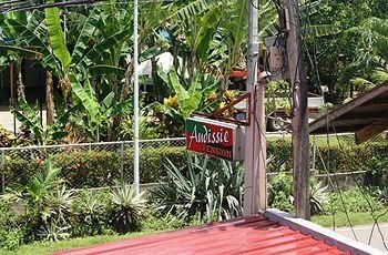 Audissie Pension1