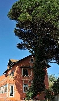She Pine Tree House - Guest House4