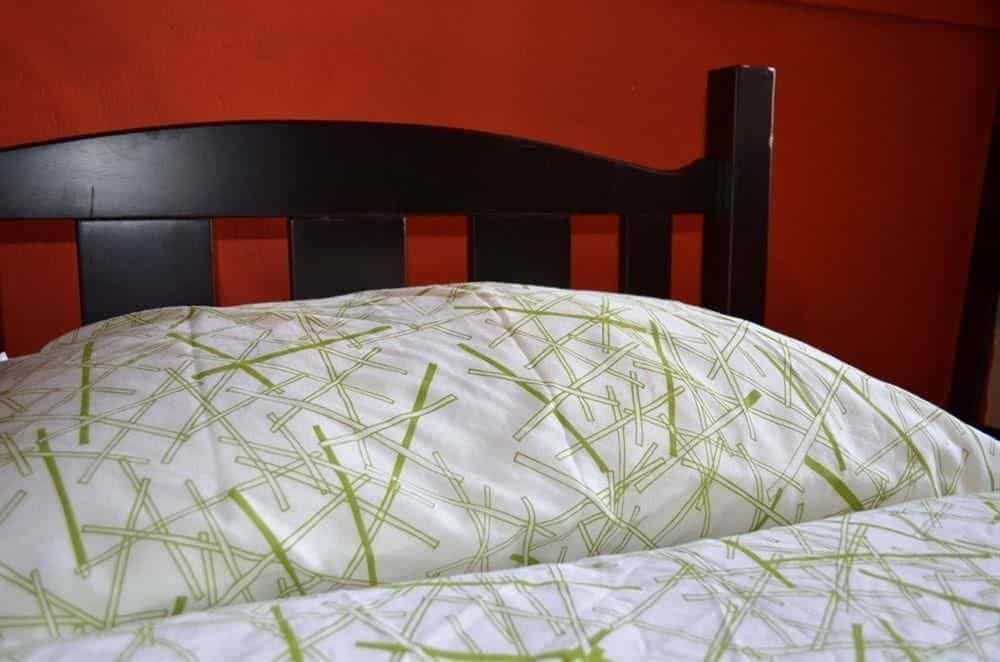 Green Kiwi Backpacker Hostel - Bugis Green Kiwi Backpacker Hostel - Bugis