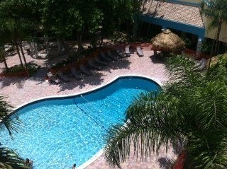 Universal Palms2