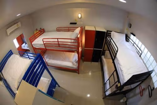 Bunk Bed in Female Dormitory Room