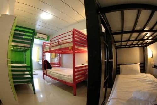 Bunk Bed in Female Dormitory Room