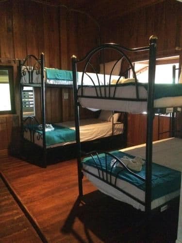 Bed in 8-Bed Dormitory Room