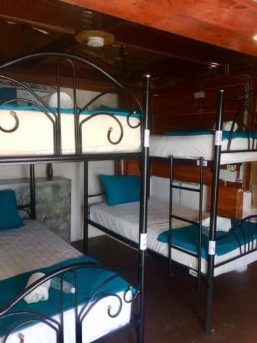 Bed in 4-Bed Female Dormitory Room