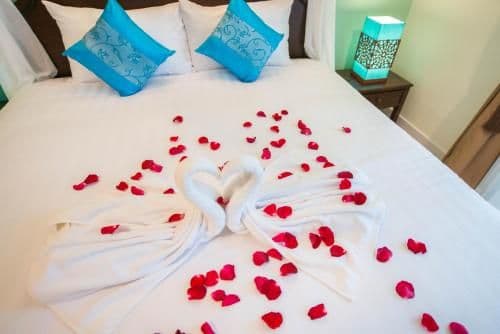 Deluxe Double or Twin Room with Garden View