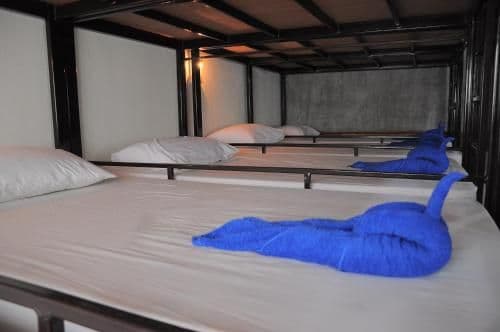 Bunk Bed in Female Dormitory Room