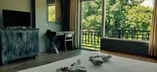 Deluxe Double or Twin Room
