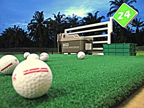 Palm Driving Range & Resort1
