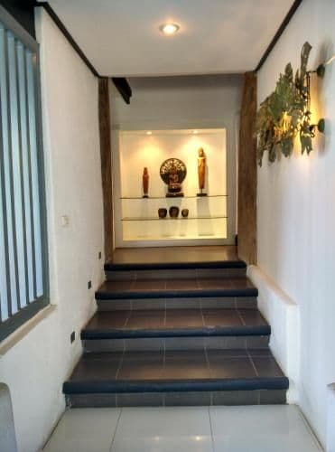 Garden studio with airport transfer