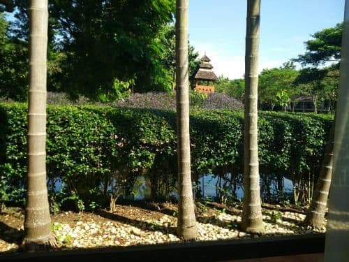 Garden studio with airport transfer