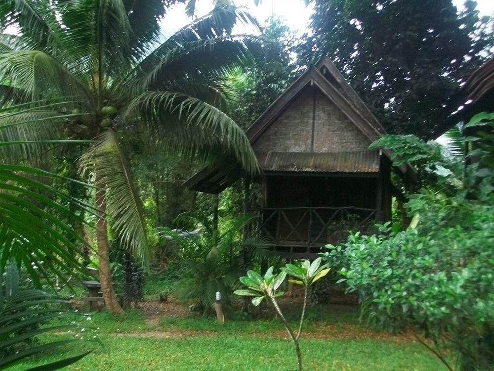 แบมบู เฮาส์ (Bamboo House)3
