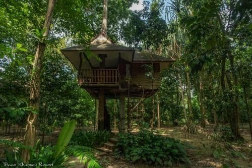 Tree House Garden View With Fan