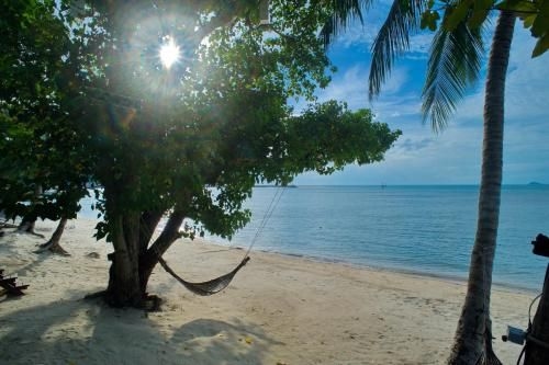 ณ สมุย เฮาส์ รีสอร์ต (Samui Haus Resort)1
