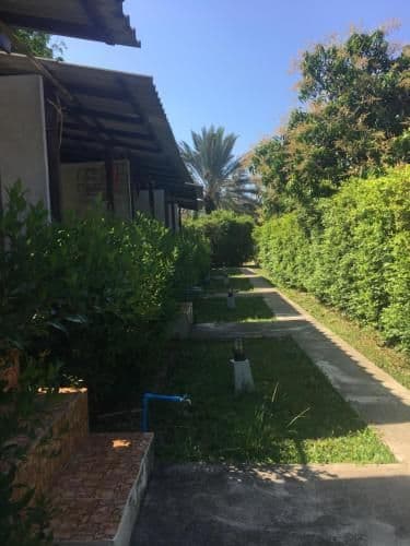 Double Room with Forest View