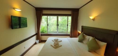 Deluxe Double or Twin with Pool View