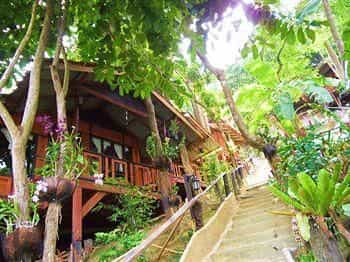 Maney Resort Maney Resort