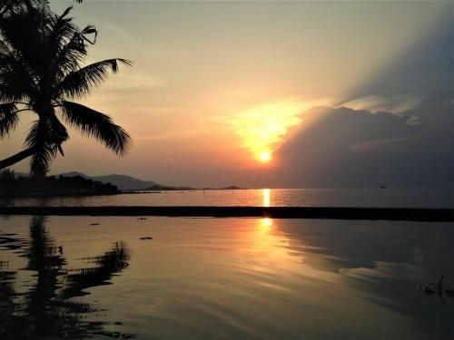 เดอะ บีช เฮาส์ (The Beach House)4