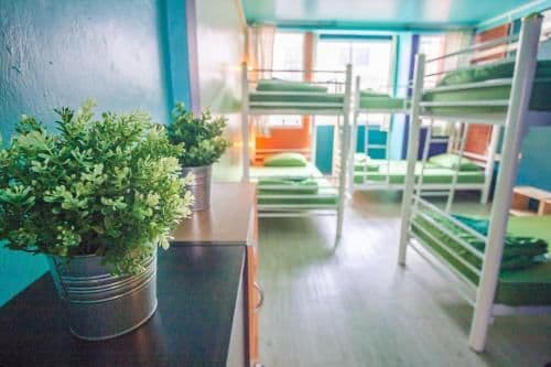 Bed in 6-Bed Mixed Dormitory Room