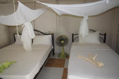 Standard Triple Room with Fan