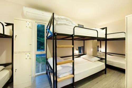 Bed in 6-Bed Mixed Dormitory Room